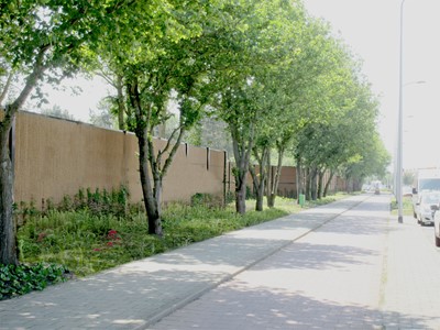 Straatzijde Parklaan Katwijk